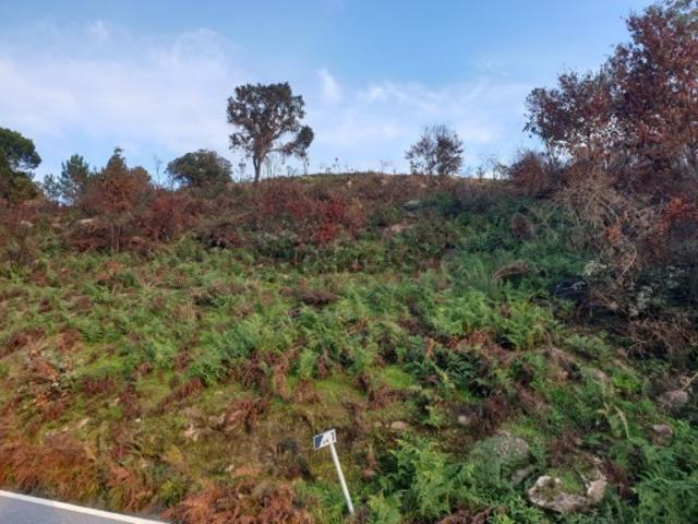 Terreno Mata de Panela
