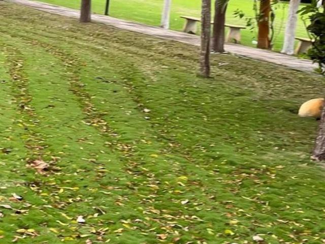 Terreno Medellín