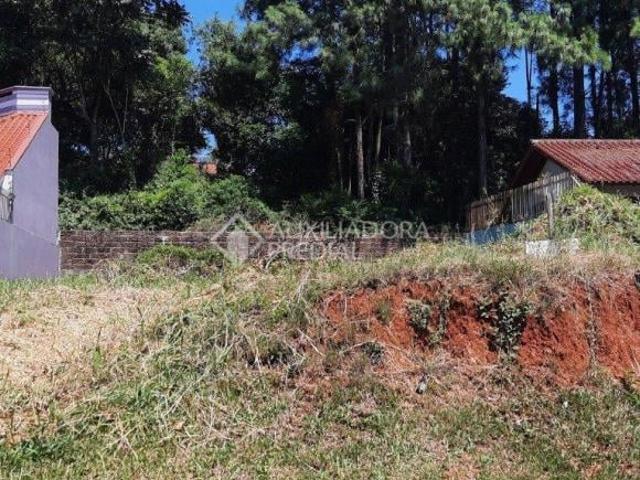 Terreno medindo 14,50 x 30,00, totalizando 435,00 m²