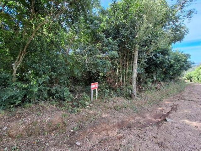 Terreno medindo 20 de frente por 65.46 de extenção Av Costa Gama 2845