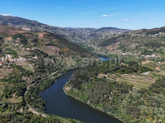 Terreno / Mesão Frio, Barqueiros