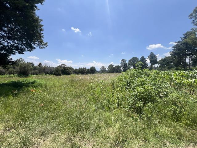 Terreno Metepec