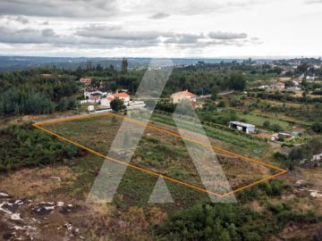 Terreno, Midões