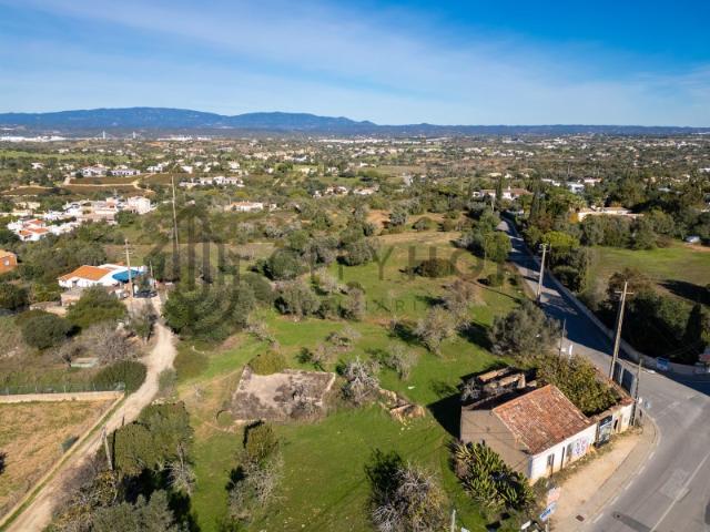 Terreno Misto nas Sesmarias de Lagoa