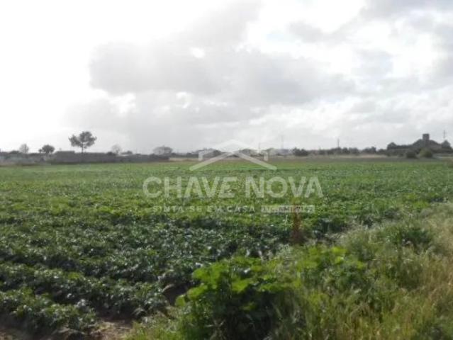 Terreno Misto no Montijo