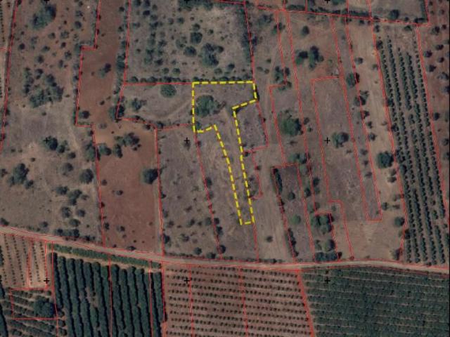Terreno misto área de 1920m2, em conjunto com terreno rústico área de 1480 m2 Borginha Silves
