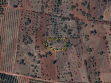 Terreno misto área de 1920m2, em conjunto com terreno rústico área de 1480 m2 Borginha Silves