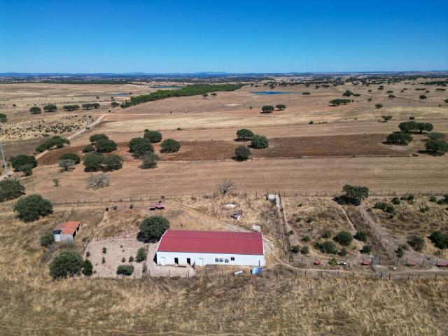 Terreno Misto com 4 Hectares e Armazém Licenciado a 5 Minutos de Monsaraz – Alentejo