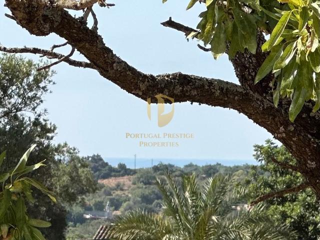 Terreno Misto com 5368 m2 com projeto aprovado para construção de moradia térrea