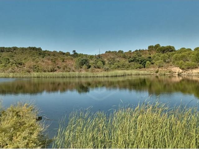 Terreno Misto com 560.000 m² para Desenvolvimento de Agro Turismo perto de Silves, Algarve