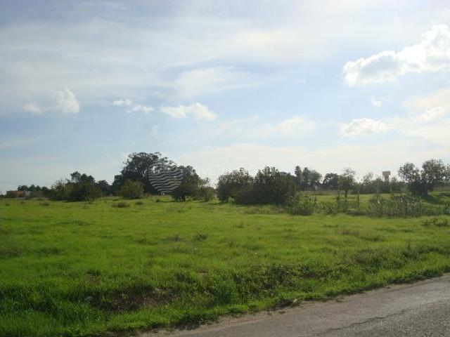 Terreno misto com 59.880 m², no Montijo