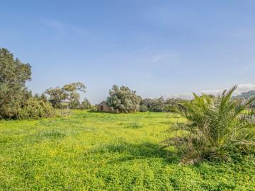 Terreno misto com 61.600m² e ruínas