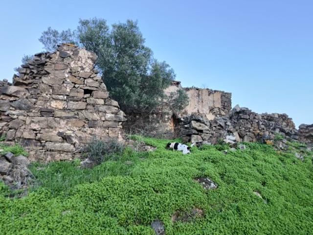 TERRENO MISTO COM 99.760 M² COM RUÍNA POÇOS CONSTRUÇÃO DE HABITAÇÃO E OU TURISMO RURAL VALE ANDREU CASTRO MARIM ALGARVE