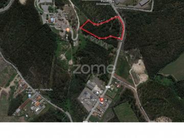 Rua Do Batel, Guilhabreu, Concelho de Vila do Conde, Distrito de Porto