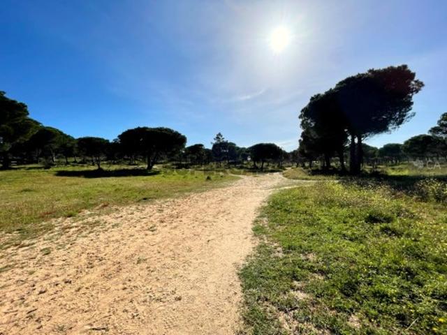 Terreno Misto com 10,4 ha em Vale Carro de Baixo, Albufeira