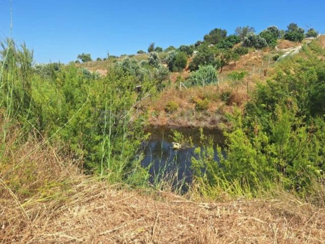 Terreno Misto com 3.680ha e capacidade de construir até 2.000m2, com furo, barragem e árvores de fruto