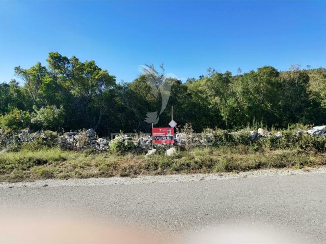 Terreno misto com uma área de 52.600.00m2 Vale da Trave / Santarém