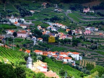 Terreno misto com vinha e possibilidade de construção de moradia