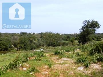 Tavagueira, Guia, Albufeira, Distrito de Faro, Algarve