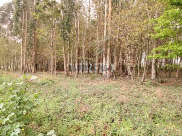 Terreno Misto com área de 21.000m2 Aveleda Vila do Conde
