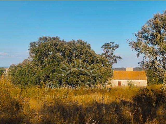 Terreno Misto com Casa Antiga para Recuperar | Mosqueirões, Grândola