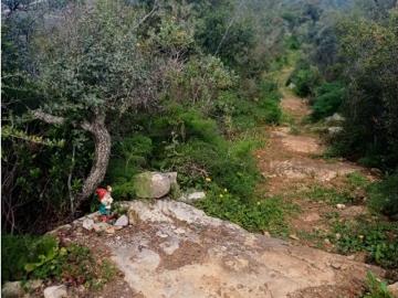 Terreno misto com ruina. Barranco de São Miguel