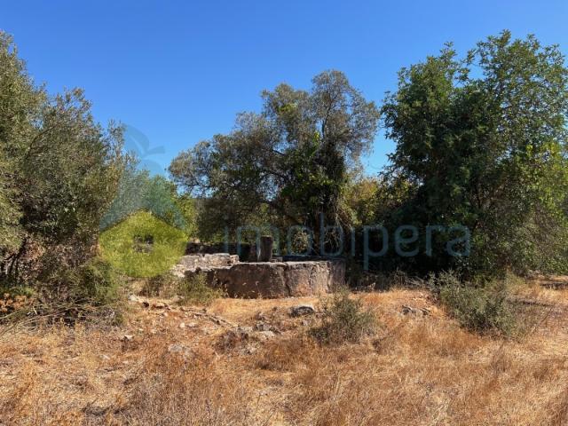 TERRENO MISTO COM RUÍNA E POÇO JUNTO À RIBEIRA DE PADERNE