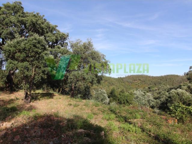 Terreno Misto, com Ruína, Monchique, Algarve