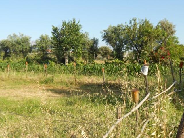 TERRENO MISTO DE 2.820m² NA ESTRADA DE VALE DE MADEIROS POTENCIAL ILIMITADO!