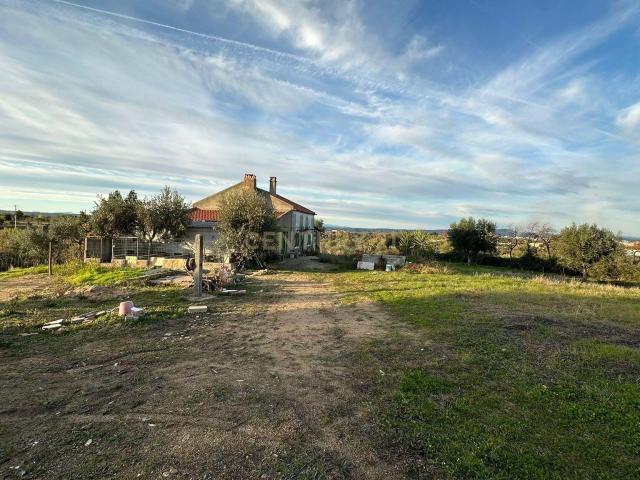 Terreno Misto de 2ha com habitação, Ladoeiro, Castelo Branco