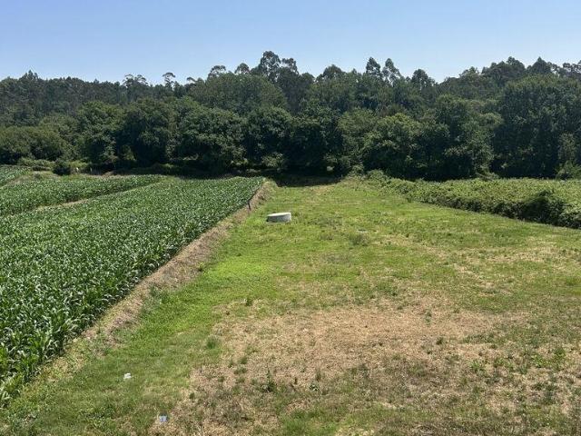 Terreno misto em Oliveira de Azeméis, Santiago de Riba Ul, Ul, Macinhata da Seixa e Madail