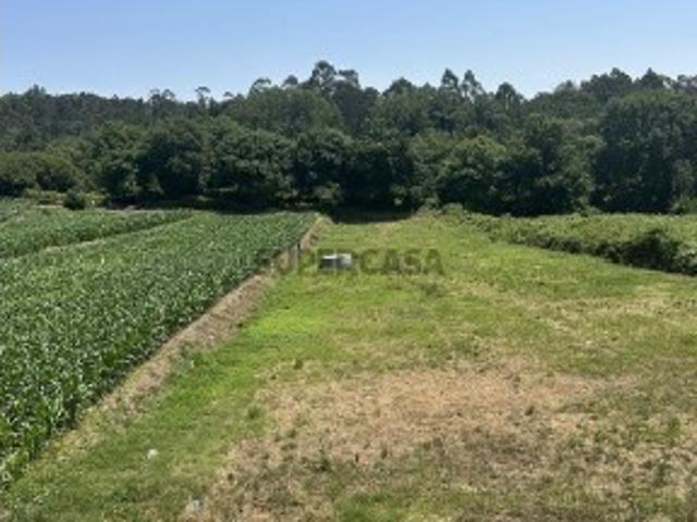 Terreno misto em Oliveira de Azeméis, Santiago de Riba Ul, Ul, Macinhata da Seixa e Madail