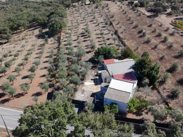 Terreno misto em Borba