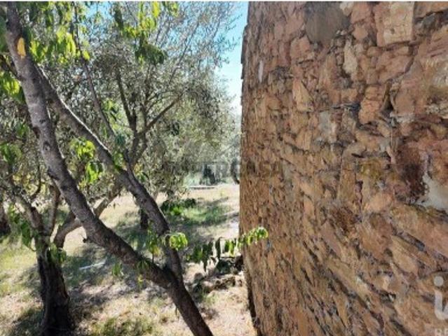 Terreno misto em Graça
