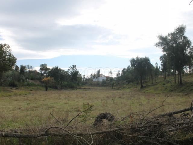 Terreno Misto em Lugar de Moreira _ Melres | Gondomar