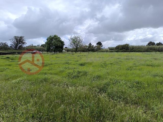 Terreno Misto em Lagoa da Palha, Pinhal Novo