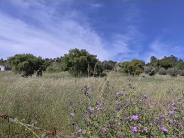 Terreno misto em Portalegre com uma área total de 28.625 m² uma oportunidade única para realizar seu projeto dos sonhos!