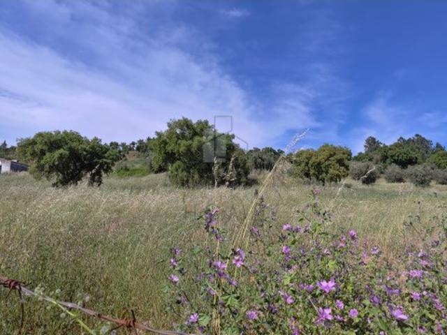 Terreno misto em Portalegre com uma área total de 28.625 m² uma oportunidade única para realizar seu projeto dos sonhos!