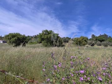 Terreno misto em Portalegre com uma área total de 28.625 m² uma oportunidade única para realizar seu projeto dos sonhos!