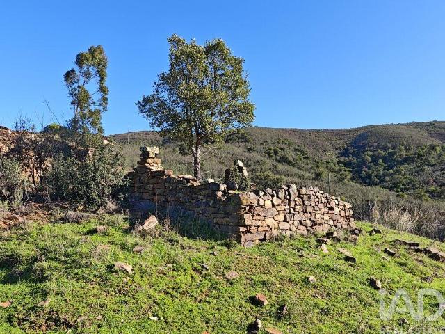 Terreno misto em São Bartolomeu de Messines