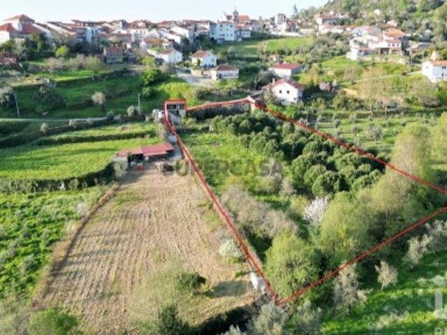 Terreno misto em São Miguel, Santa Eufémia e Rabaçal