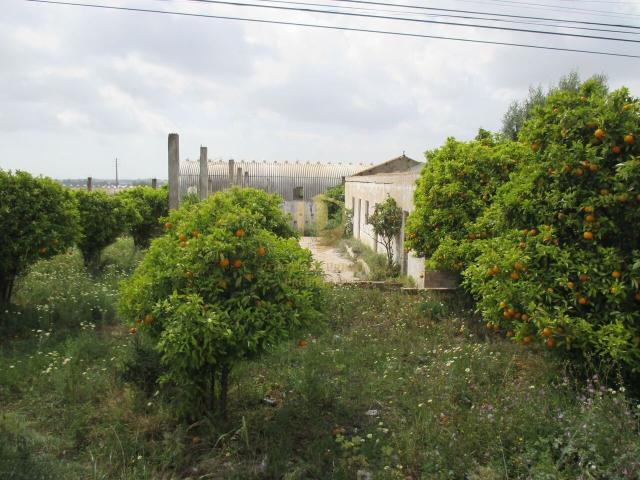 Terreno misto em Santa Barbara de Nexe Faltosa entre o mar e a serra, Aldeia que pertence a Faro