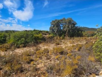 Terreno misto em Santo Estêvão, Tavira, Algarve