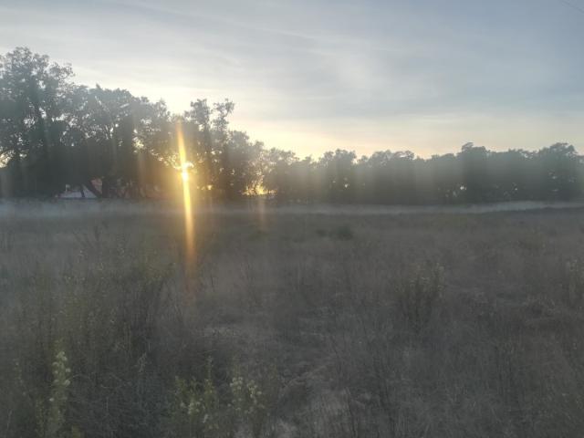Terreno Misto em Vale da Pedra Cartaxo