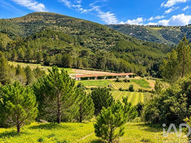 Terreno misto em Vilar