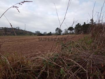 Terreno Misto para Construção