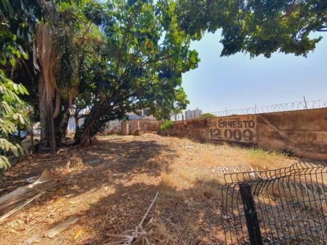 Terreno misto para Locação e Venda no Bairro Jardim São Luiz, em Ribeirão Preto