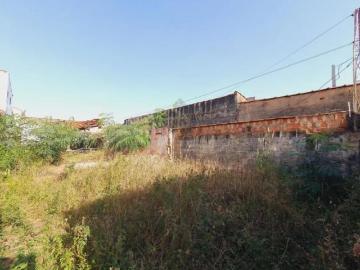 Terreno Misto para Locação e Venda no Bairro Vila Brasil, em Ribeirão Preto SP