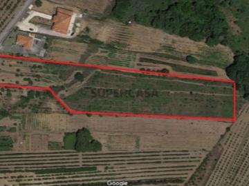 Terreno misto para quintinha na Delgada/Bombarral