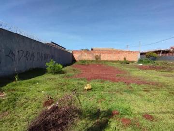 Terreno Misto para Venda no Bairro Jardim Cristo Redentor, em Ribeirão Preto SP